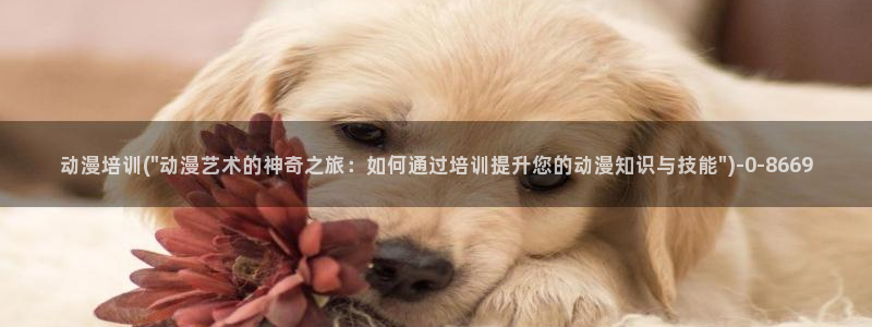 动漫女生：动漫培训(\