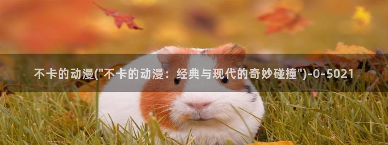 动漫二次元