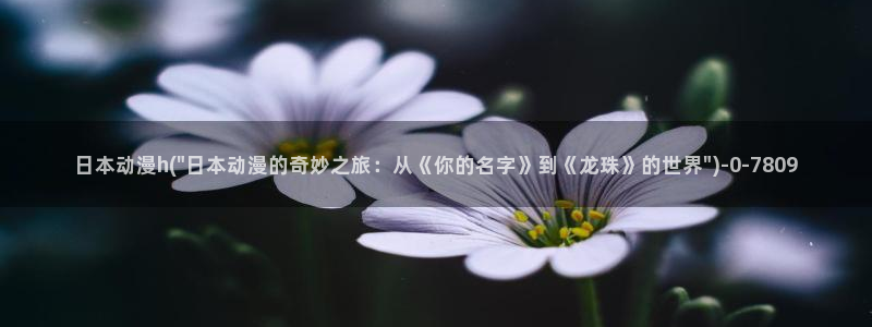 日韩动漫