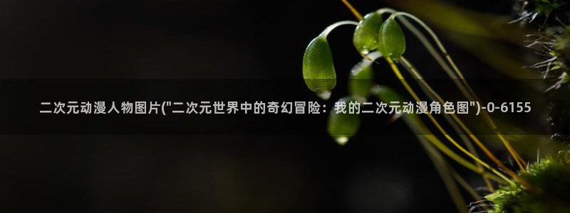 稀饭动漫：二次元动漫人物图片(\