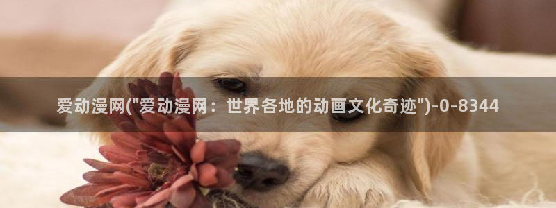 哔哩哔哩动漫